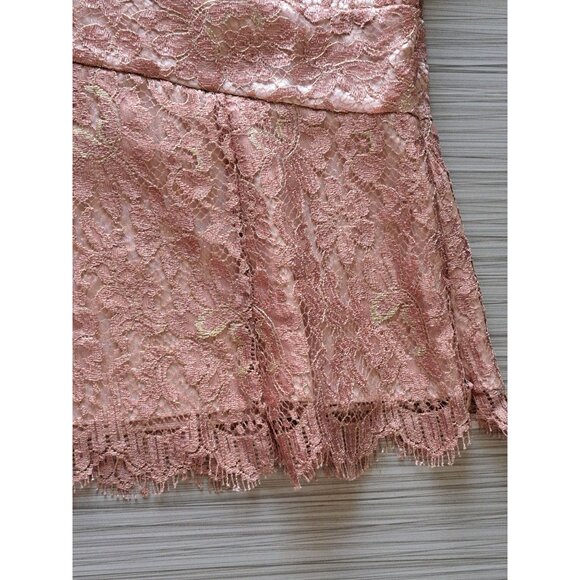 Ann Taylor Petites 6P Pink Rose Lace Peplum Top Cap Sleeves  V-Neck Y2K Romantic - Picture 2 of 8